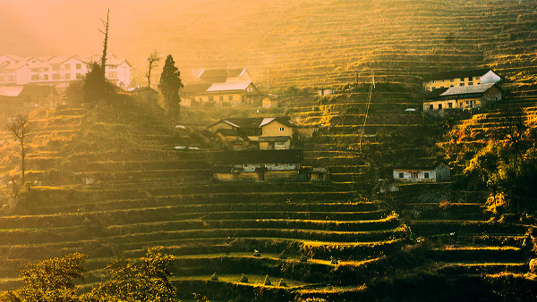 【风光】丽水-云和梯田