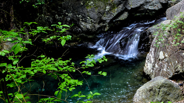 【风光】五龙潭风景区