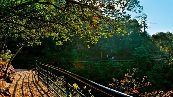 【风光】仙居 - 沟谷幽深，溪流飞瀑