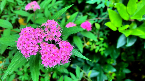 【风光】iPhoneX 试镜