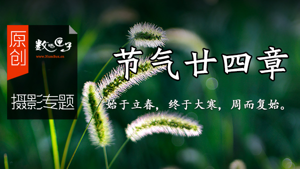 【摄影专题】 节气廿四章