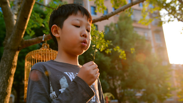 【成长】孩子任凭光阴的年轮一圈又一圈地生长