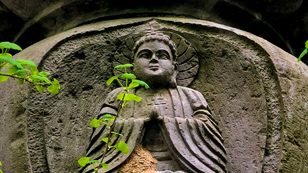 【风光】风尘天童寺，此地独清明