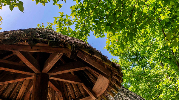 【风光】九峰山风景区
