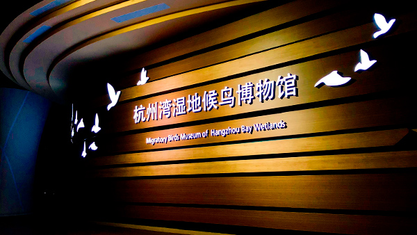 【风光】杭州湾国家湿地公园