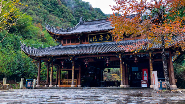 【风光】武义牛头山森林公园-秋韵