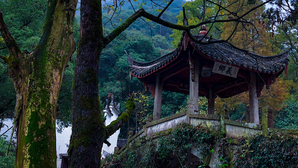 【风光】武义郭洞