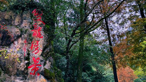 【风光】记金华的双龙洞！小学课本念叨！