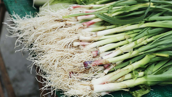 【风光】冬季菜摊的颜色