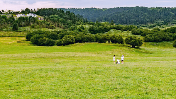 【风光】重庆-武隆仙女山国家森林公园