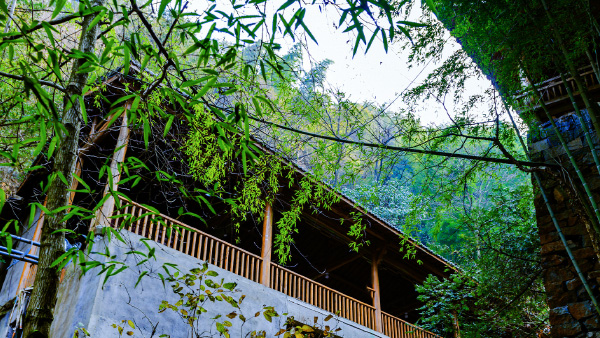 【风光】安吉，藏龙百瀑