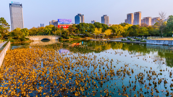 【风光】长兴印象