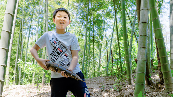 【成长】班驳的岁月，婆娑的时光！
