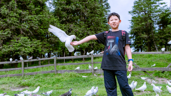 【成长】2019暑假，我在重庆-仙女山国家森林公园