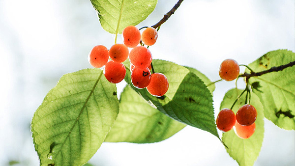 【风光】贰零贰零-宁波仲夏