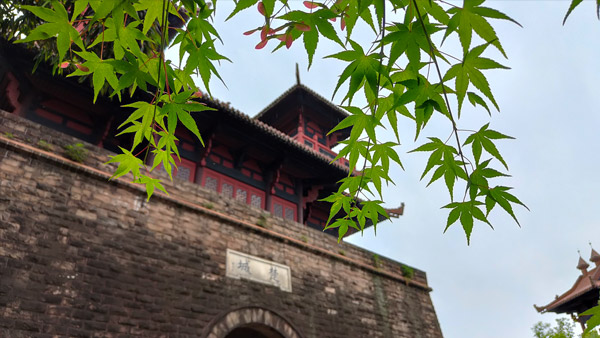 【风光】武汉东湖