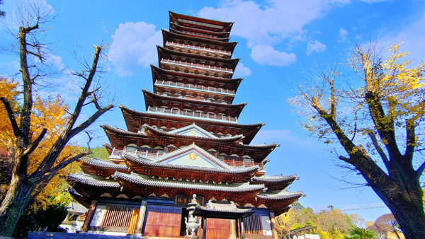 【风光】根宫佛国 - 世界根雕在中国·中国根雕看开化